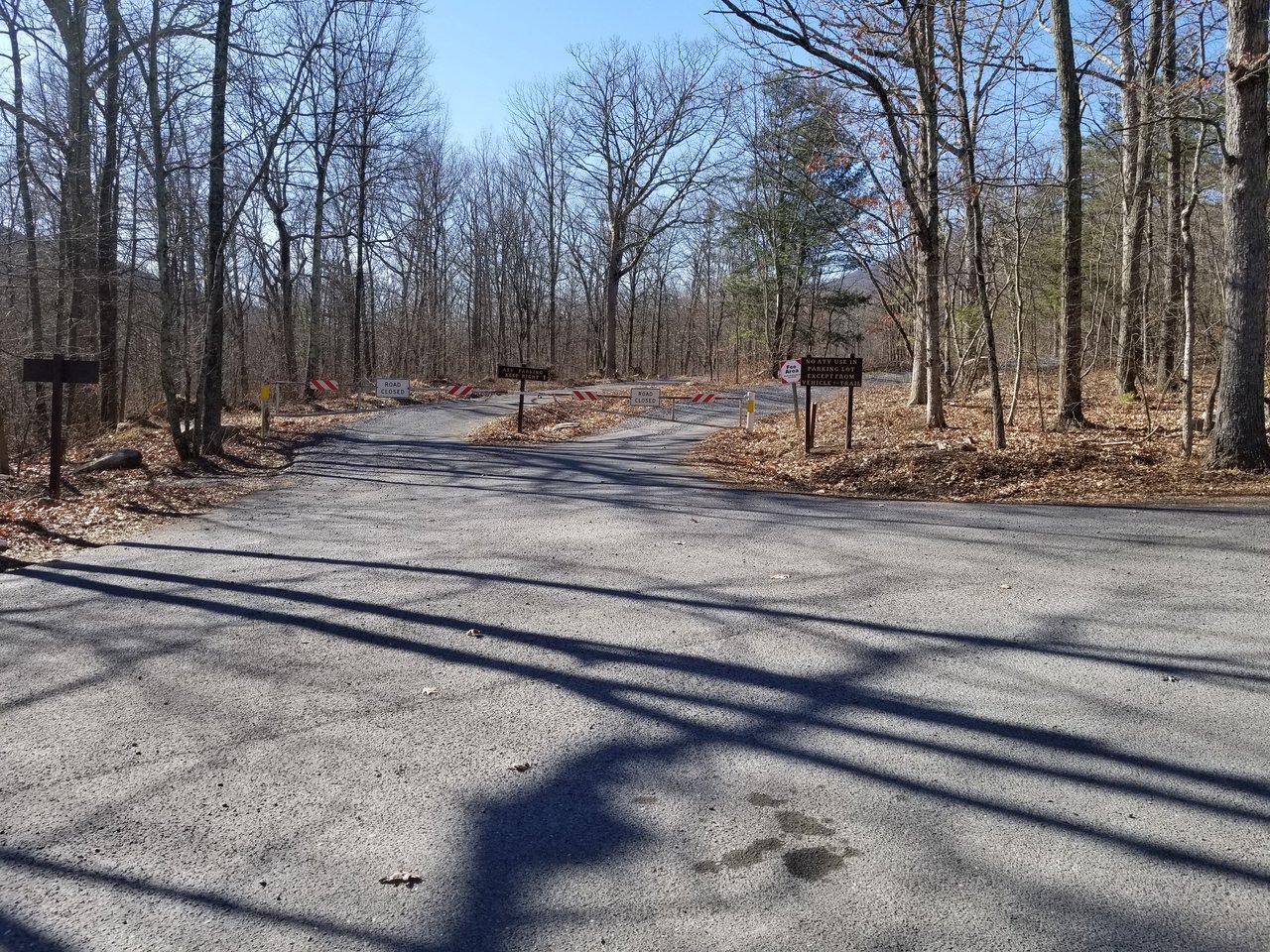 20180203_114517.jpg