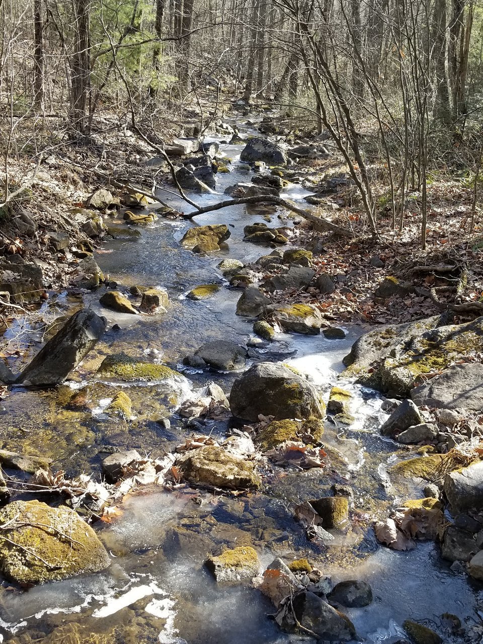 20180203_125710.jpg