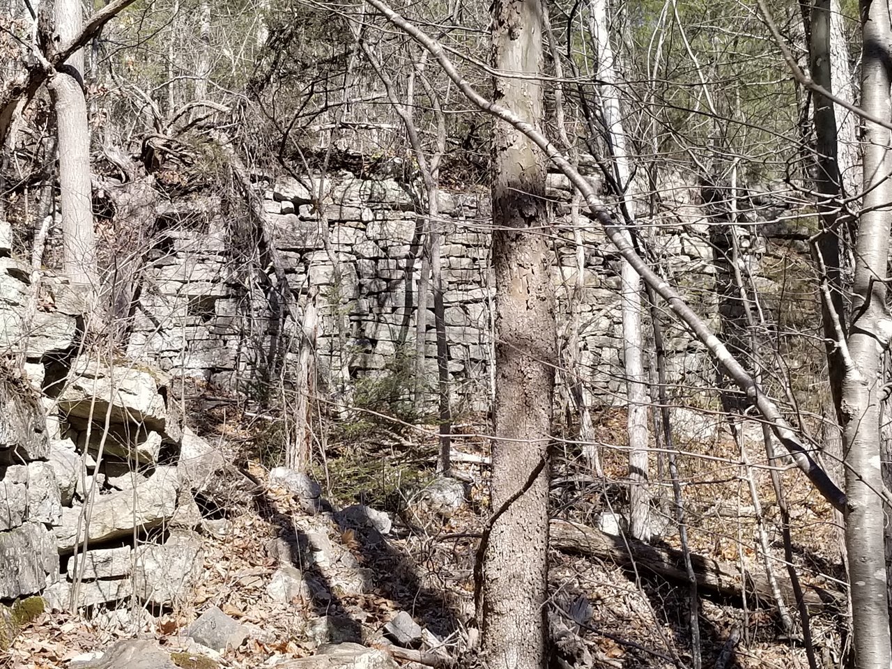 20180203_125956.jpg