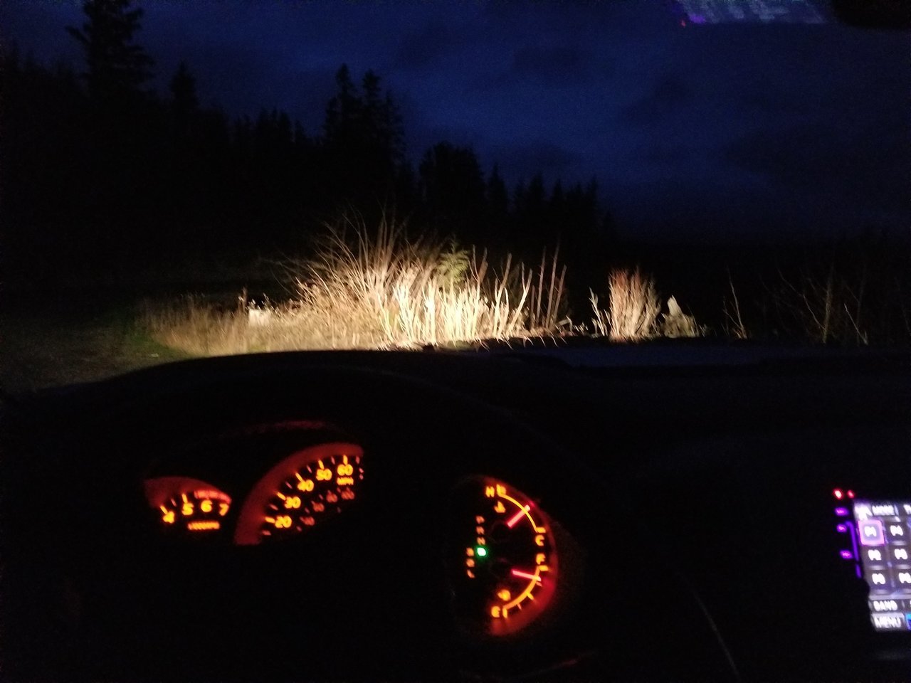 20180203_180409.jpg