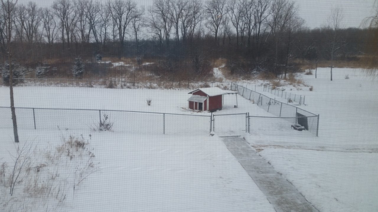 20180204_084833.jpg