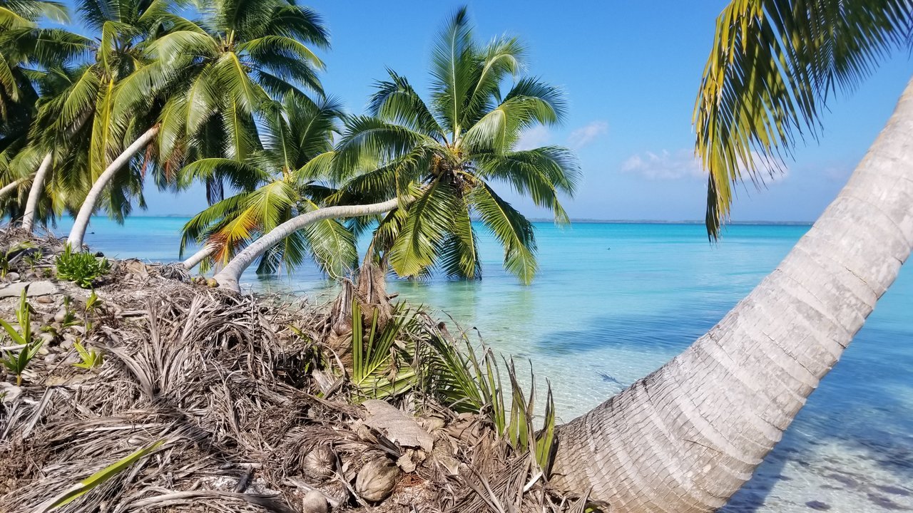 20180204_165226.jpg