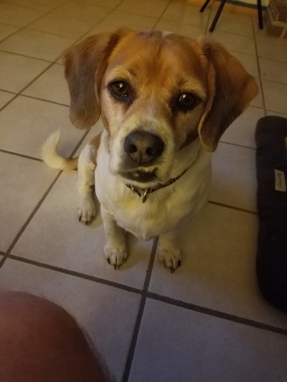20180204_214249.jpg