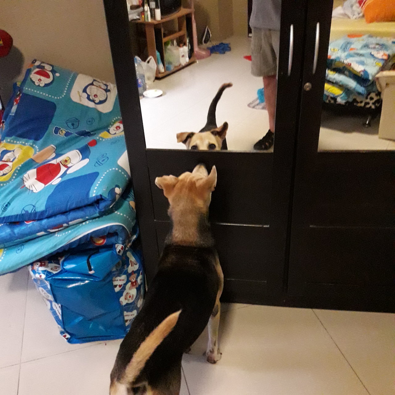20180205_091025.jpg