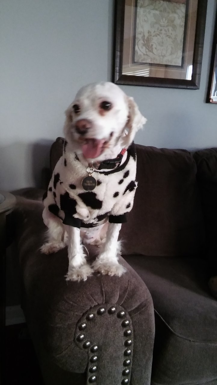20180206_163753.jpg