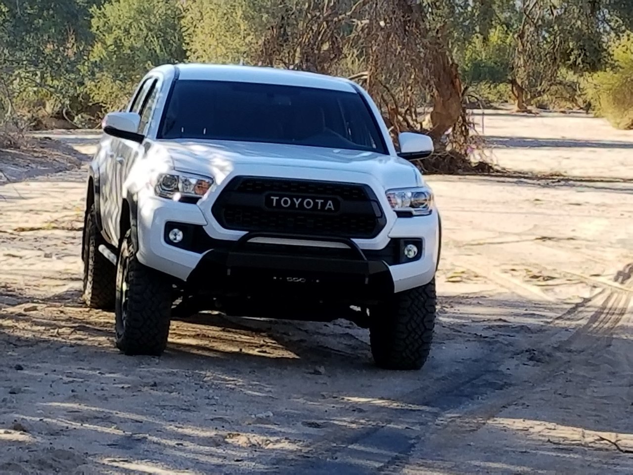 20180208_162726.jpg