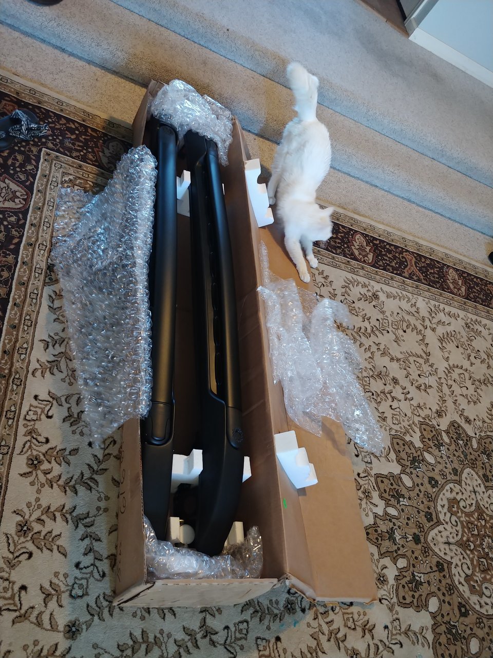20180208_165446.jpg