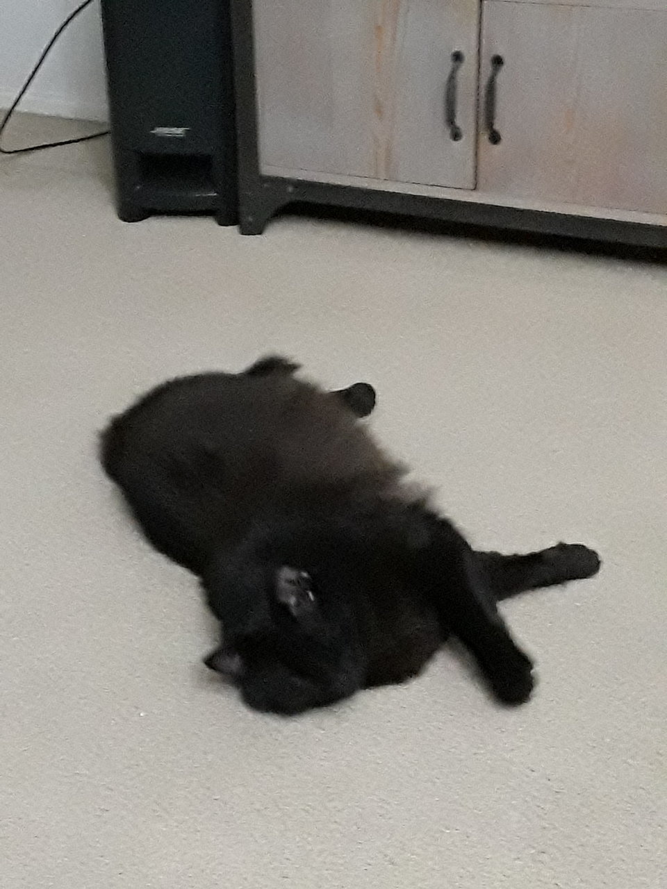 20180209_211250.jpg