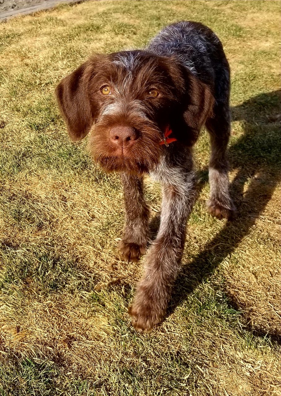 20180210_145403.jpg