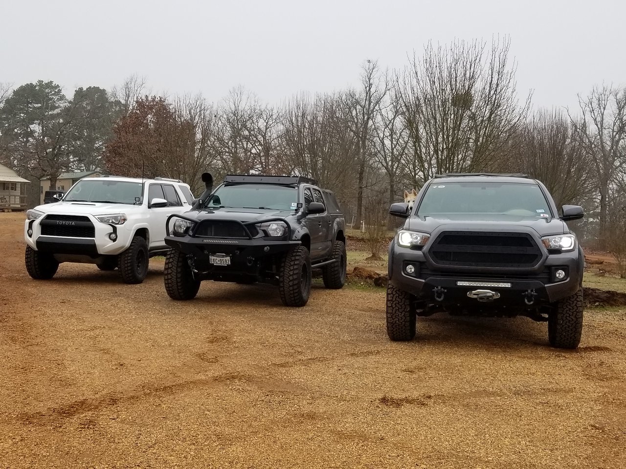 20180210_153107[1].jpg