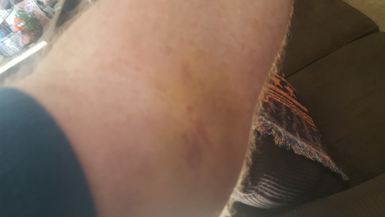 20180211_155633.jpg