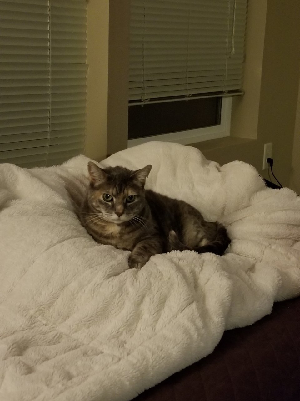 20180212_202810.jpg