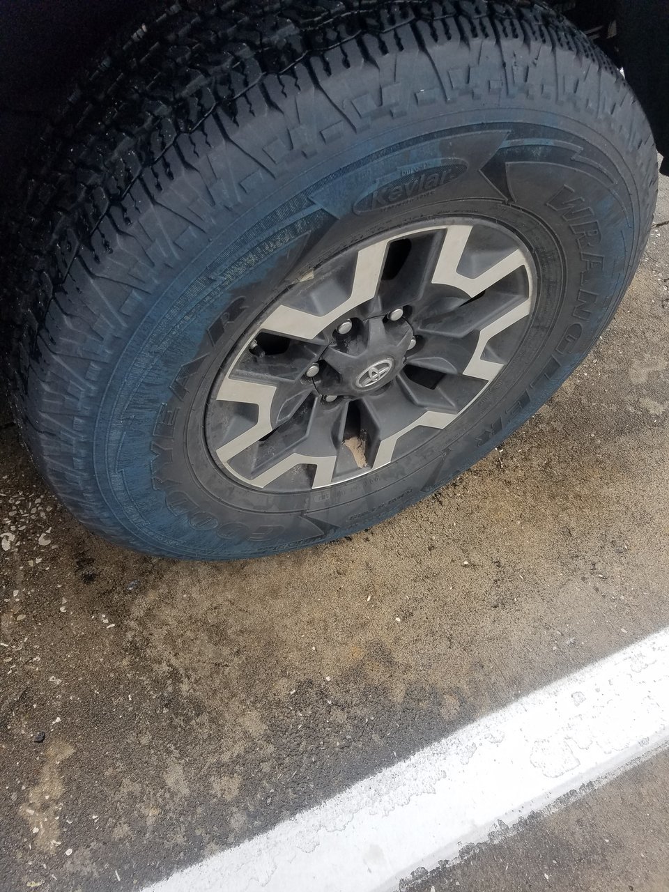 20180213_125952.jpg