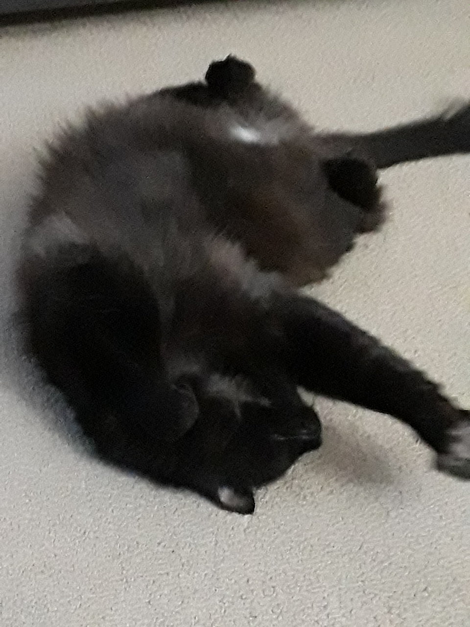 20180214_170342.jpg