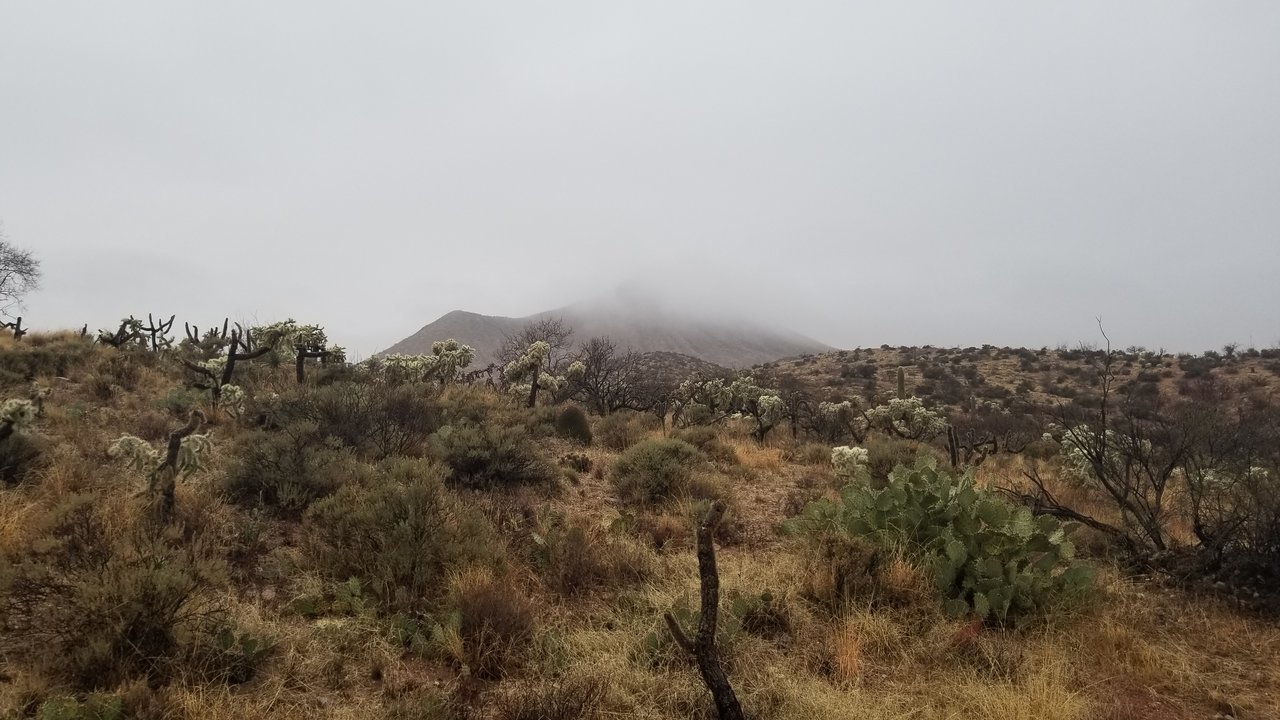 20180215_074848.jpg