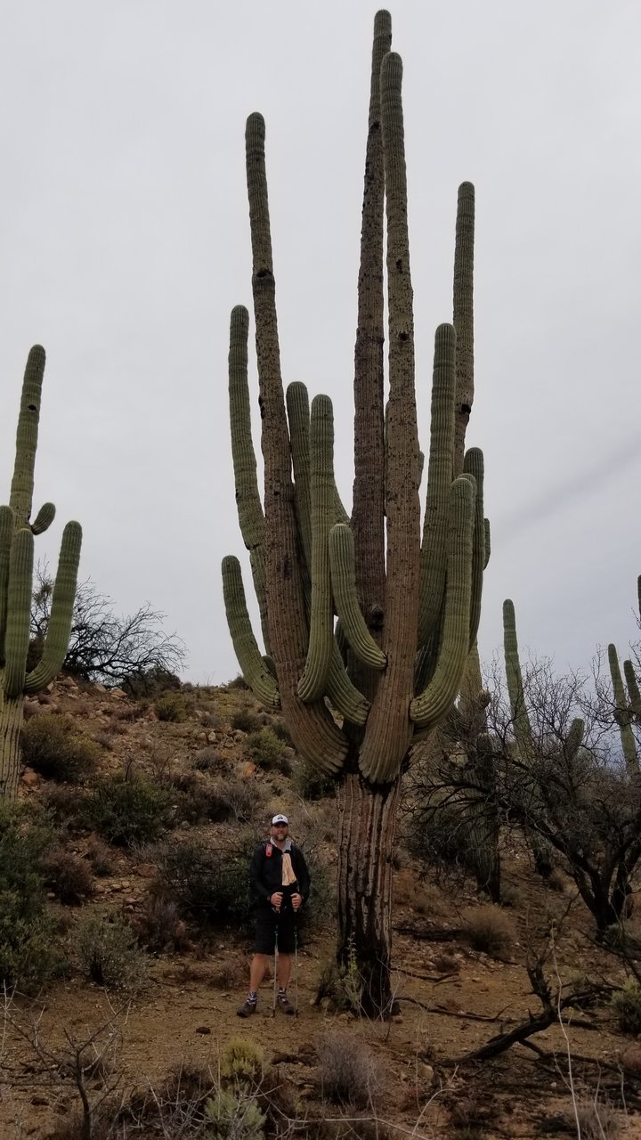 20180216_083645.jpg