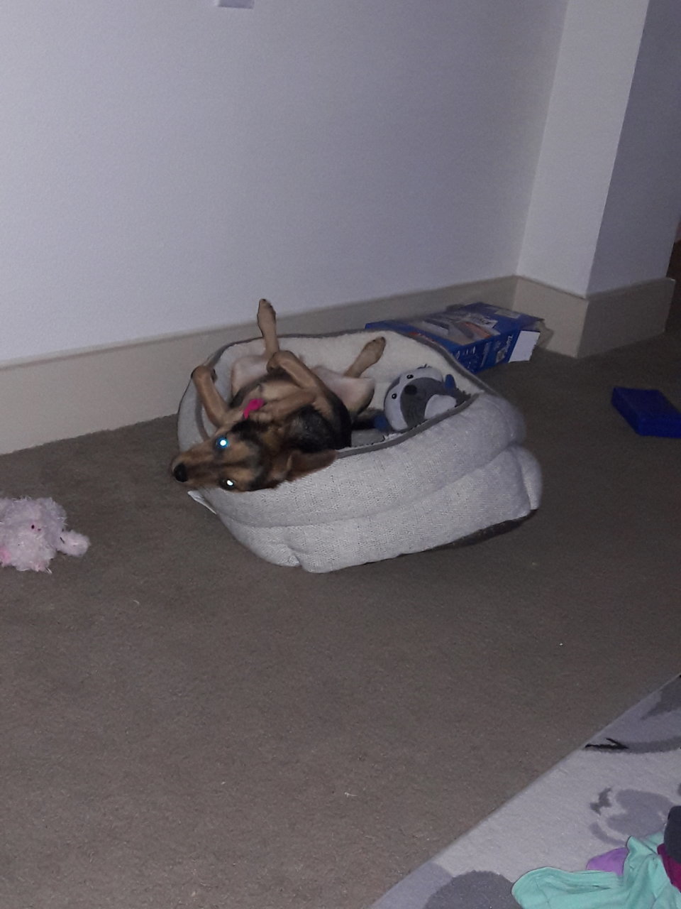 20180216_214256.jpg