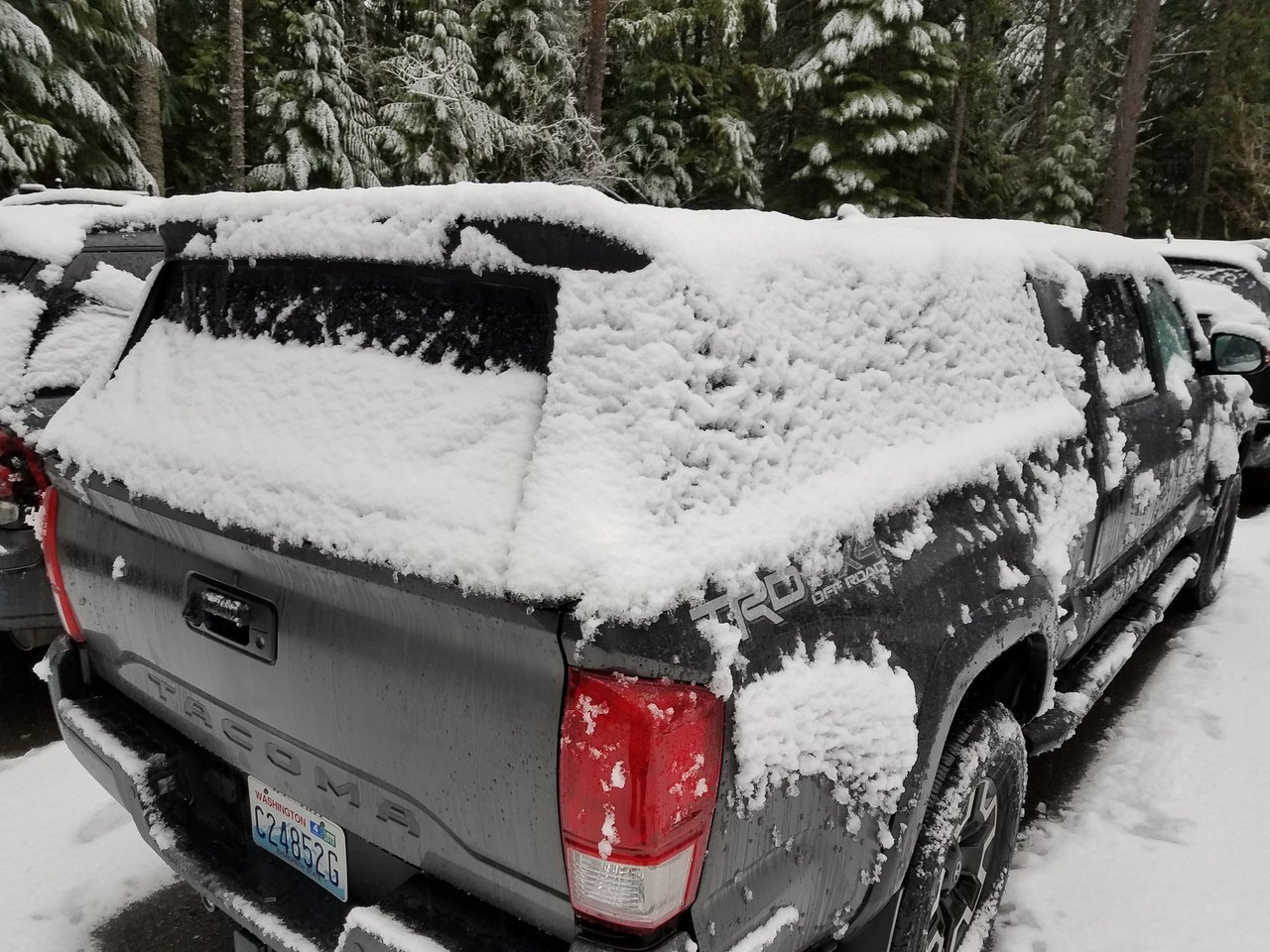 20180217_091737.jpg