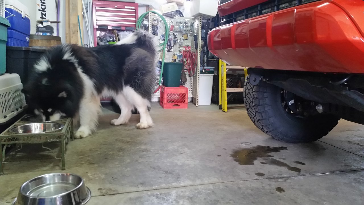20180217_153829.jpg