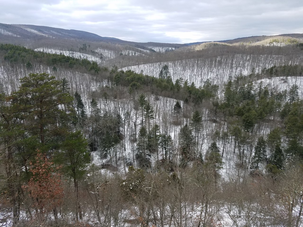 20180218_092254.jpg