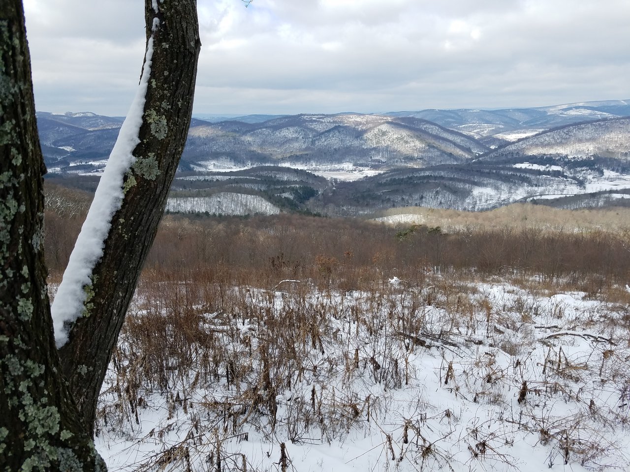 20180218_105014.jpg