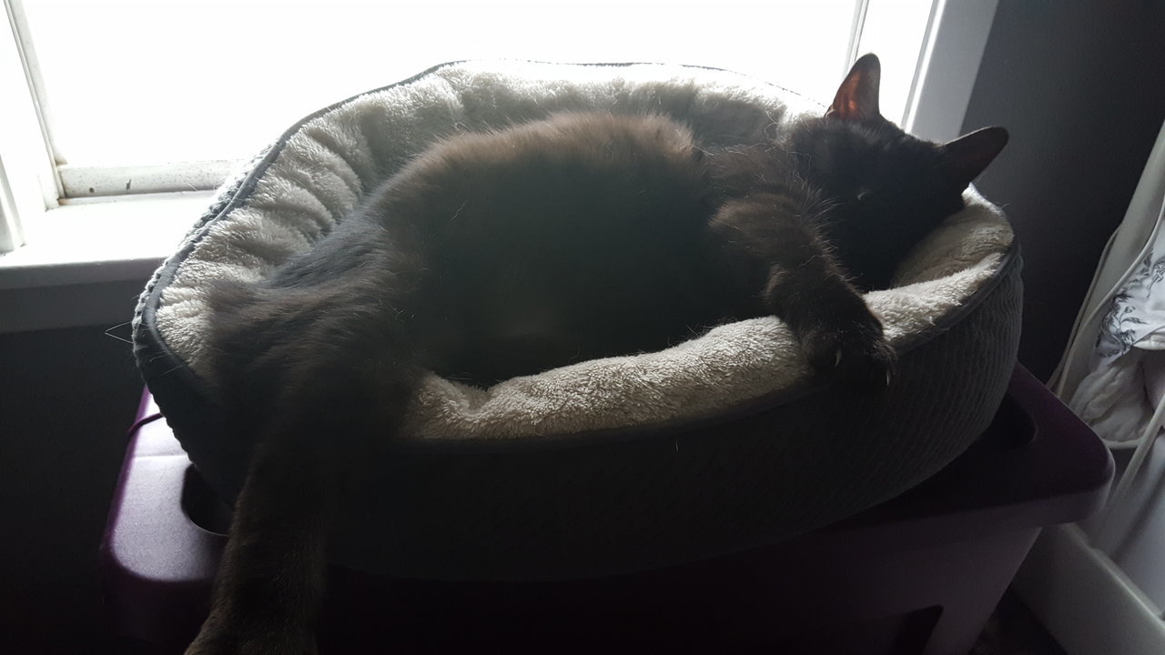 20180218_135737.jpg
