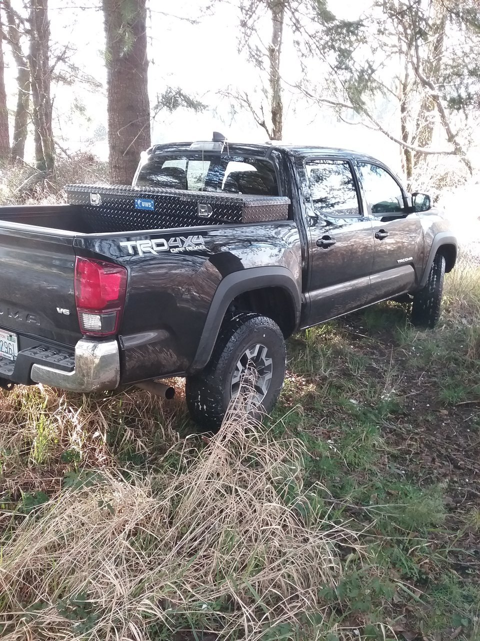 20180219_161521.jpg