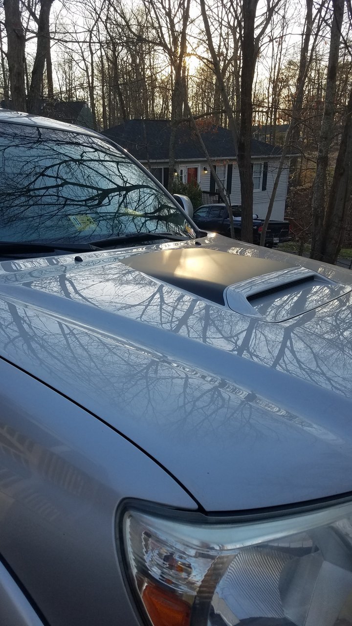 2nd Gen Anti Glare Hood Scoop Decal - Shipping Now | Tacoma World