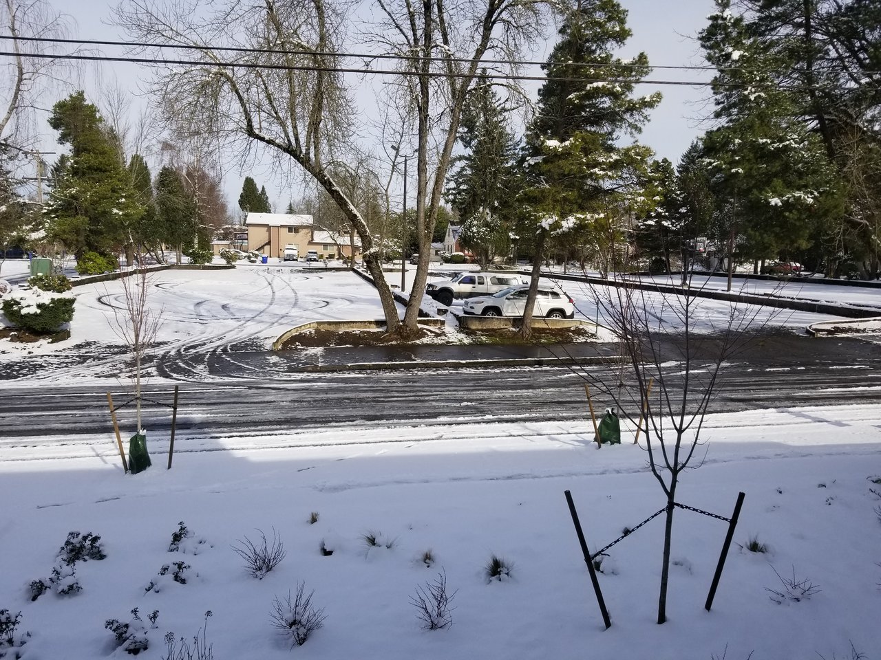 20180221_110512.jpg