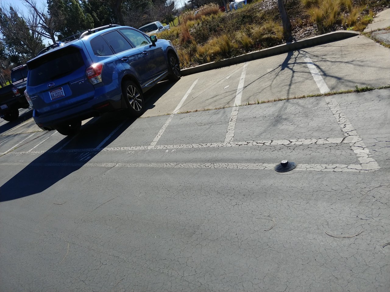 20180221_110618_HDR.jpg