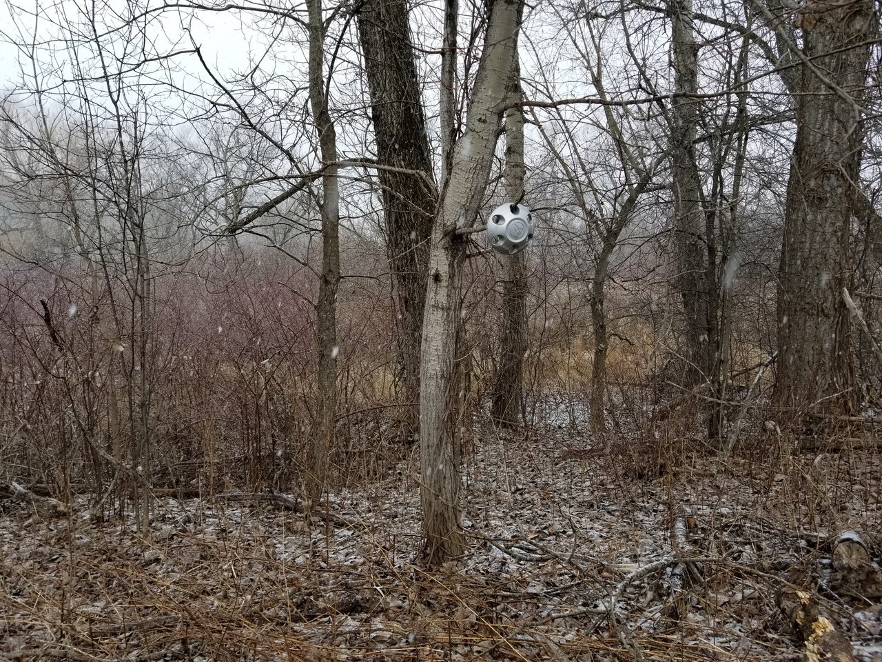 20180222_141635.jpg