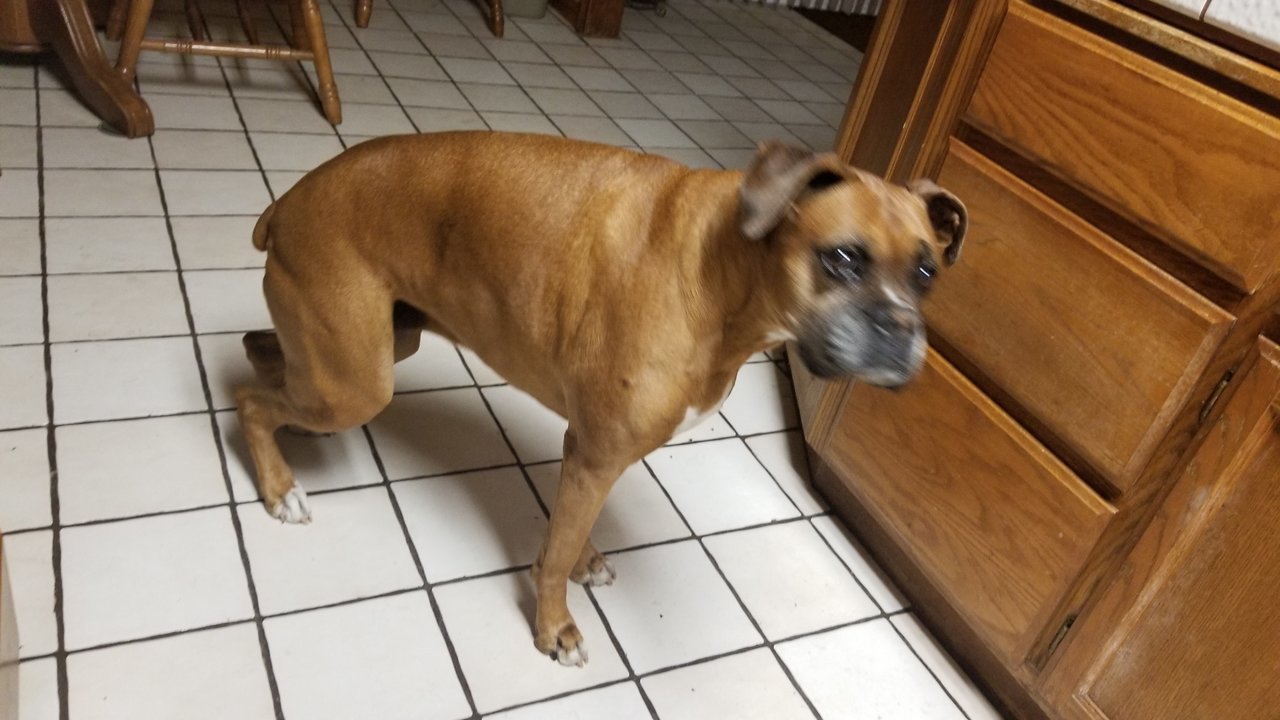 20180222_182742.jpg