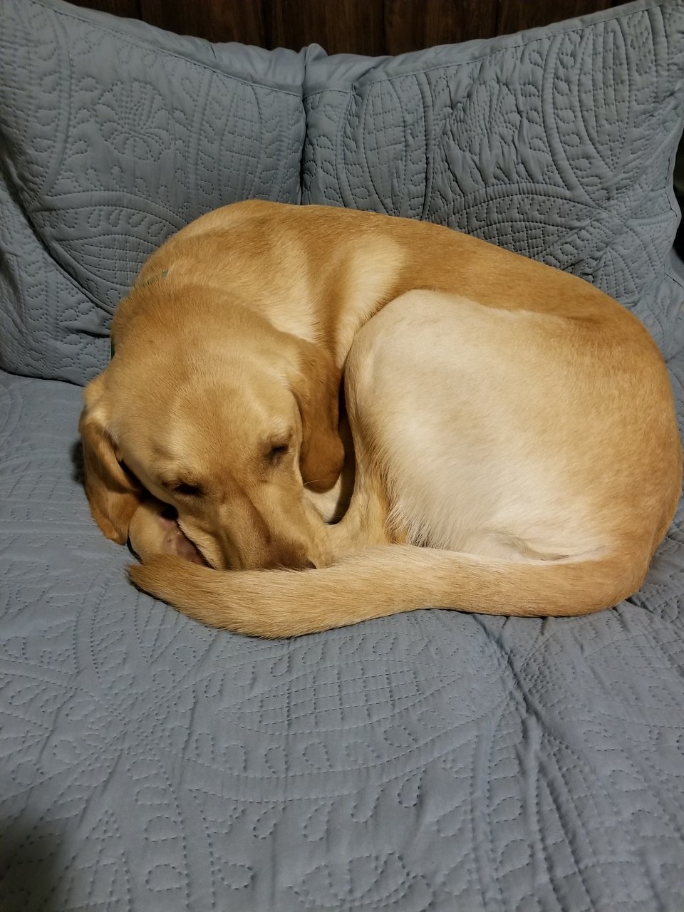 20180222_184449.jpg