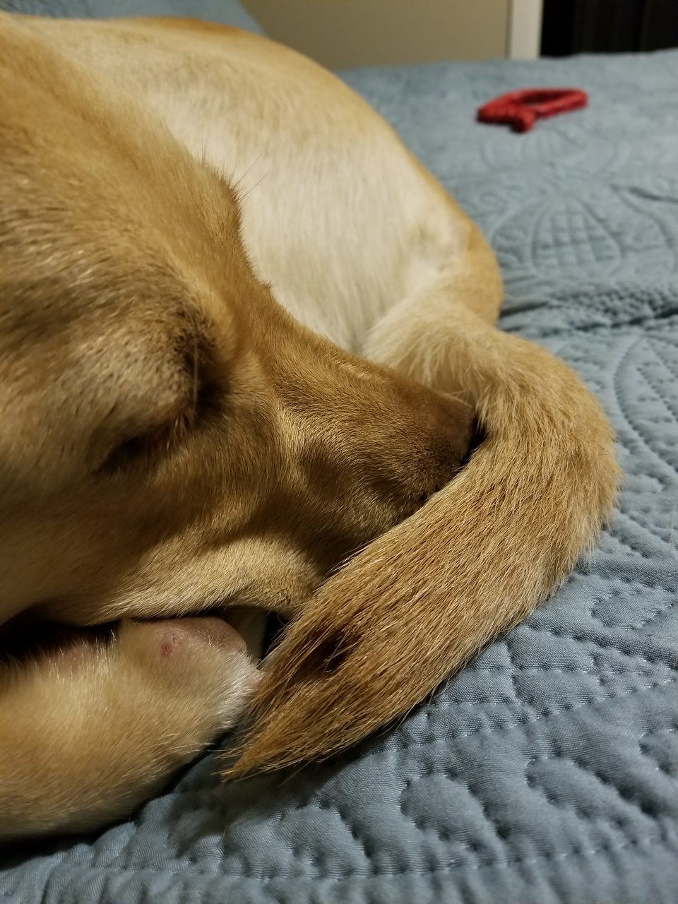 20180222_184549.jpg