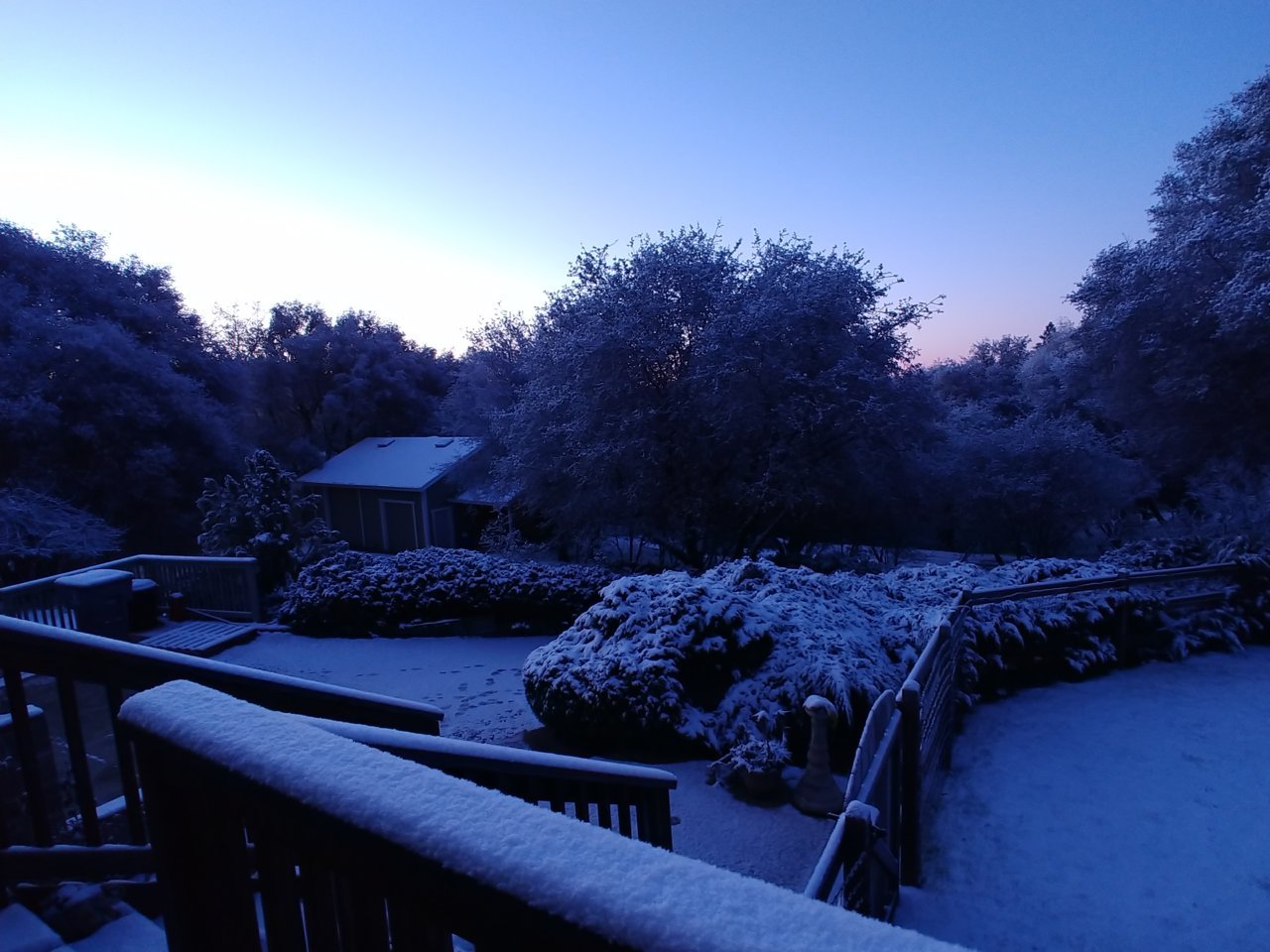 20180223_063223.jpg