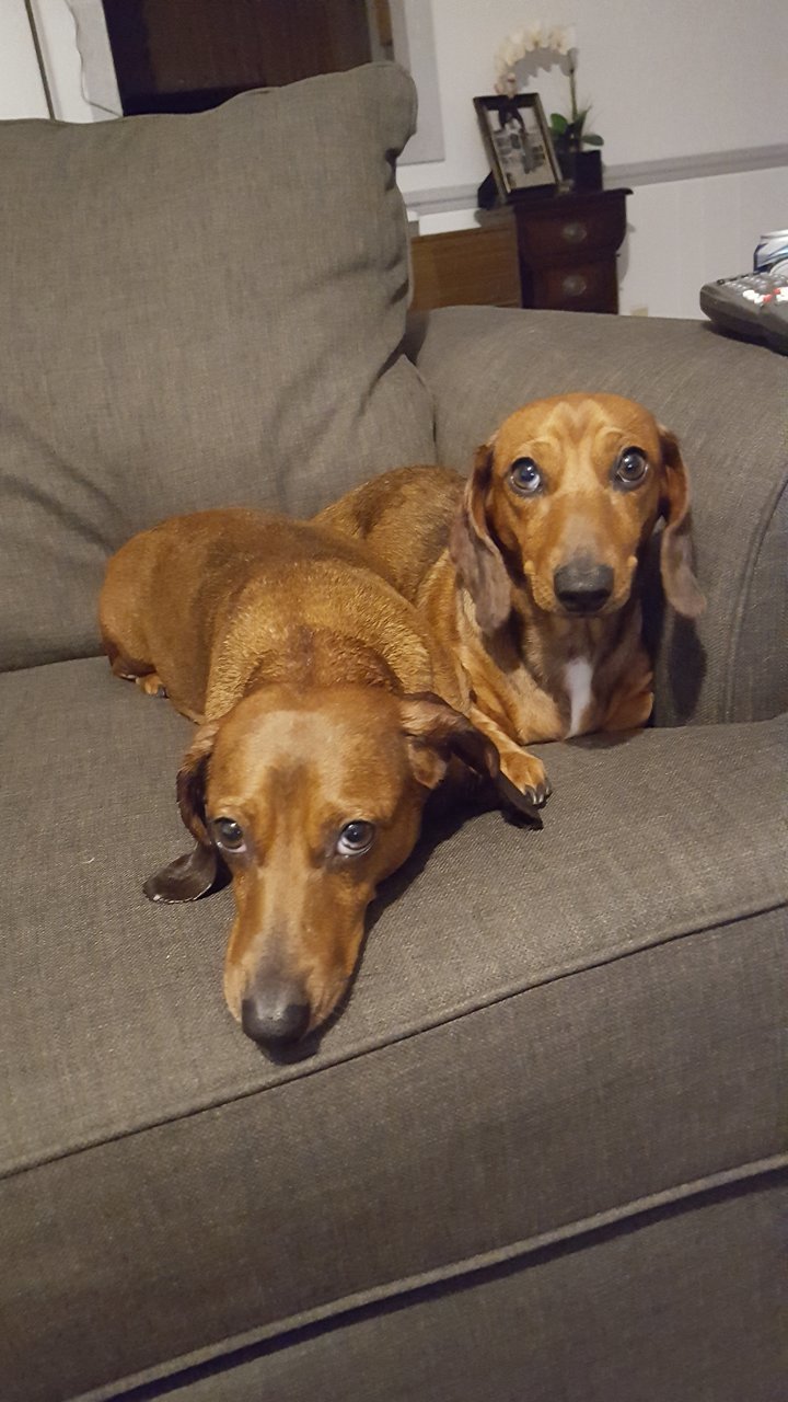 20180223_183329.jpg