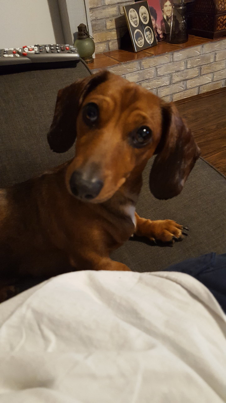 20180223_185220.jpg