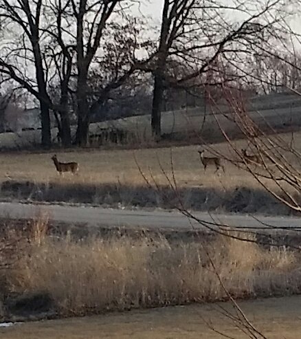 20180224_072806-1.jpg