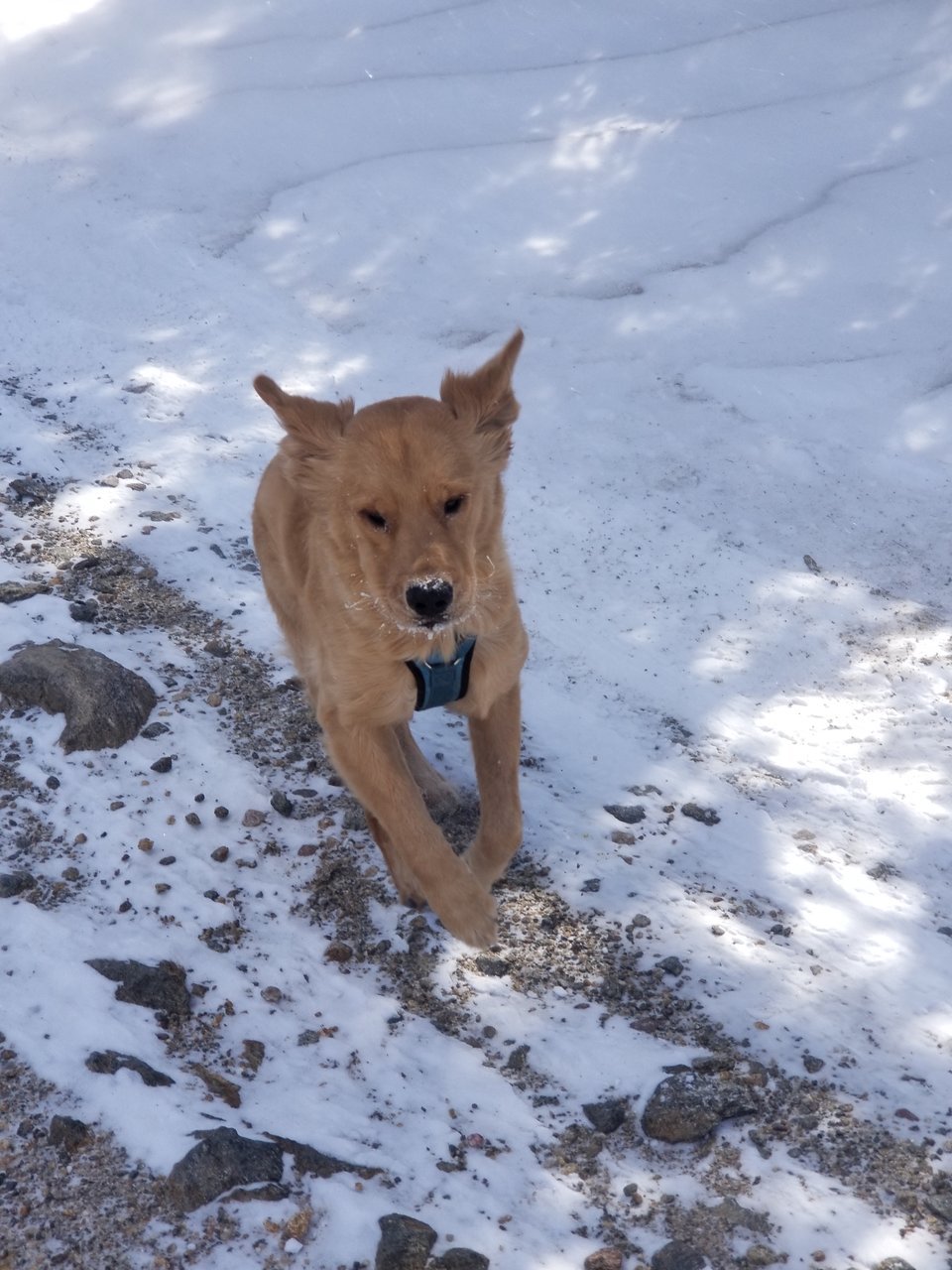 20180224_114611.jpg