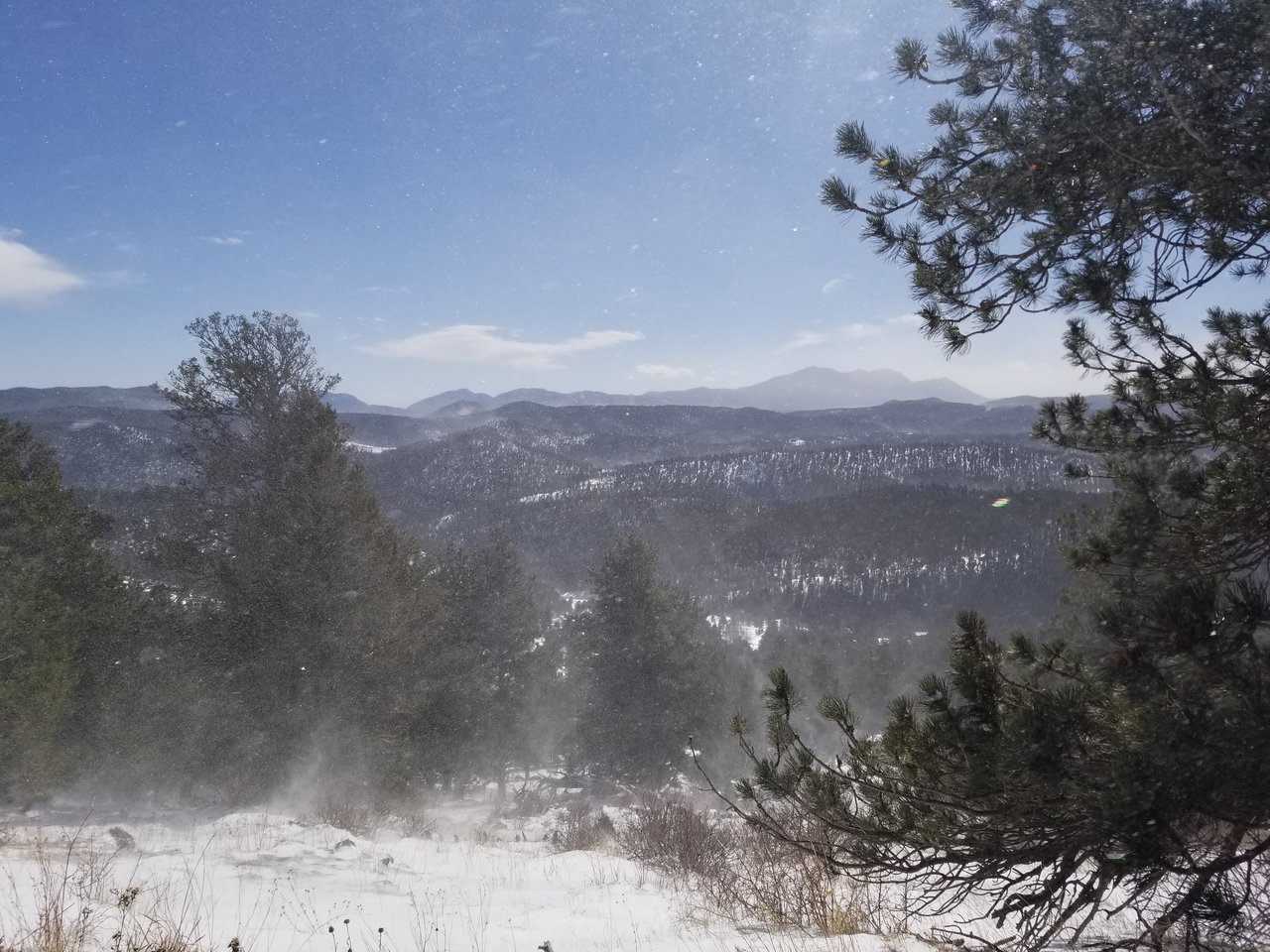 20180224_120256.jpg