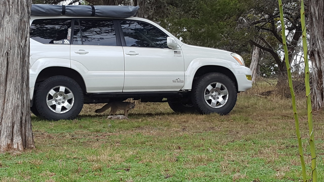 20180224_141720.jpg