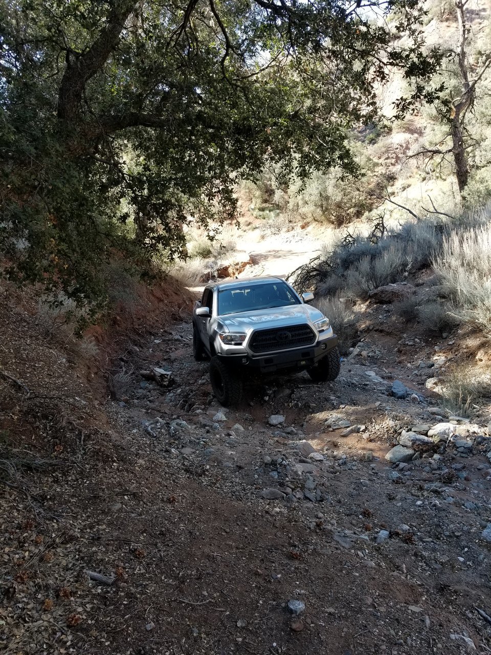 20180224_142851.jpg
