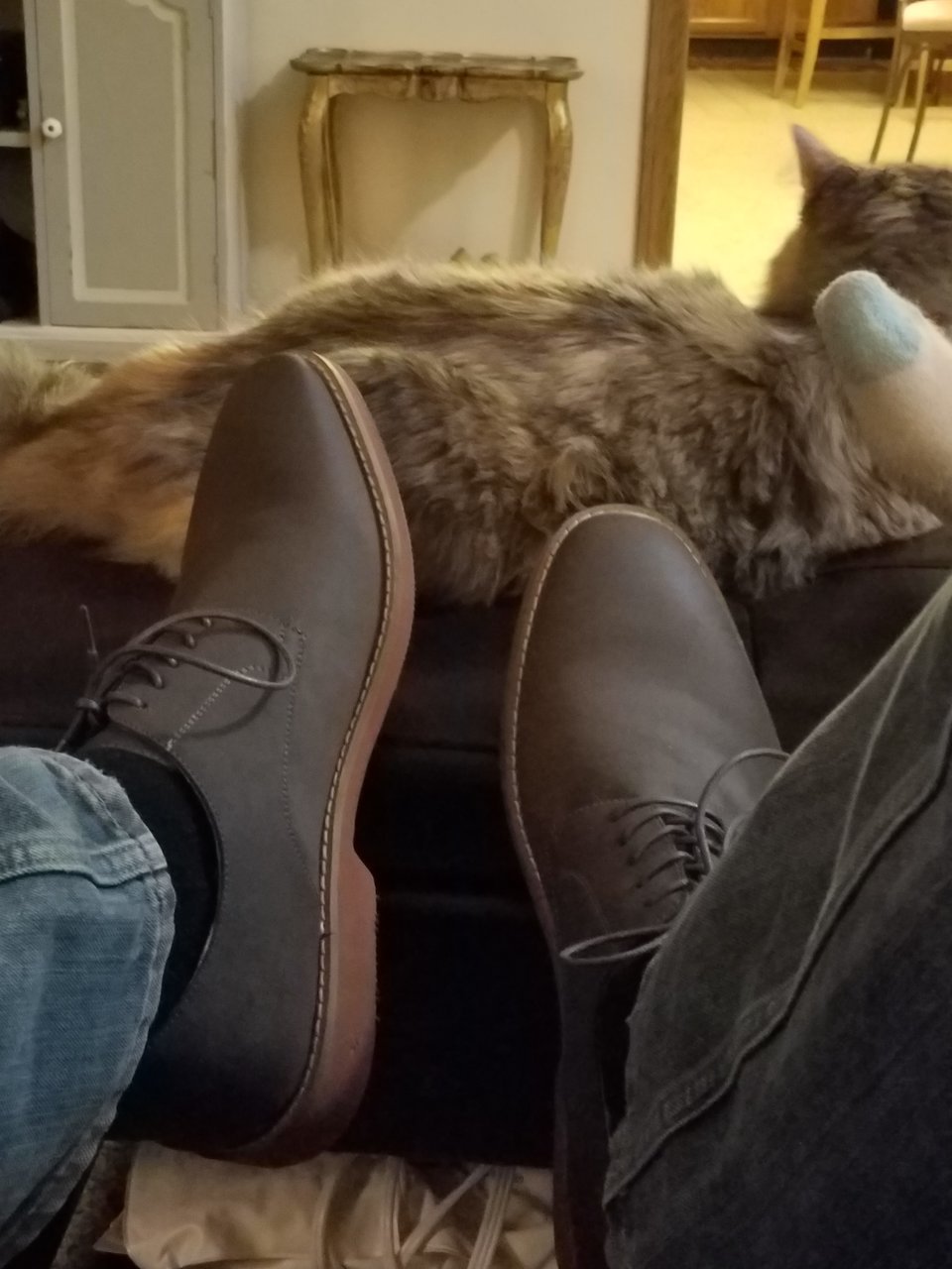 20180224_203934.jpg