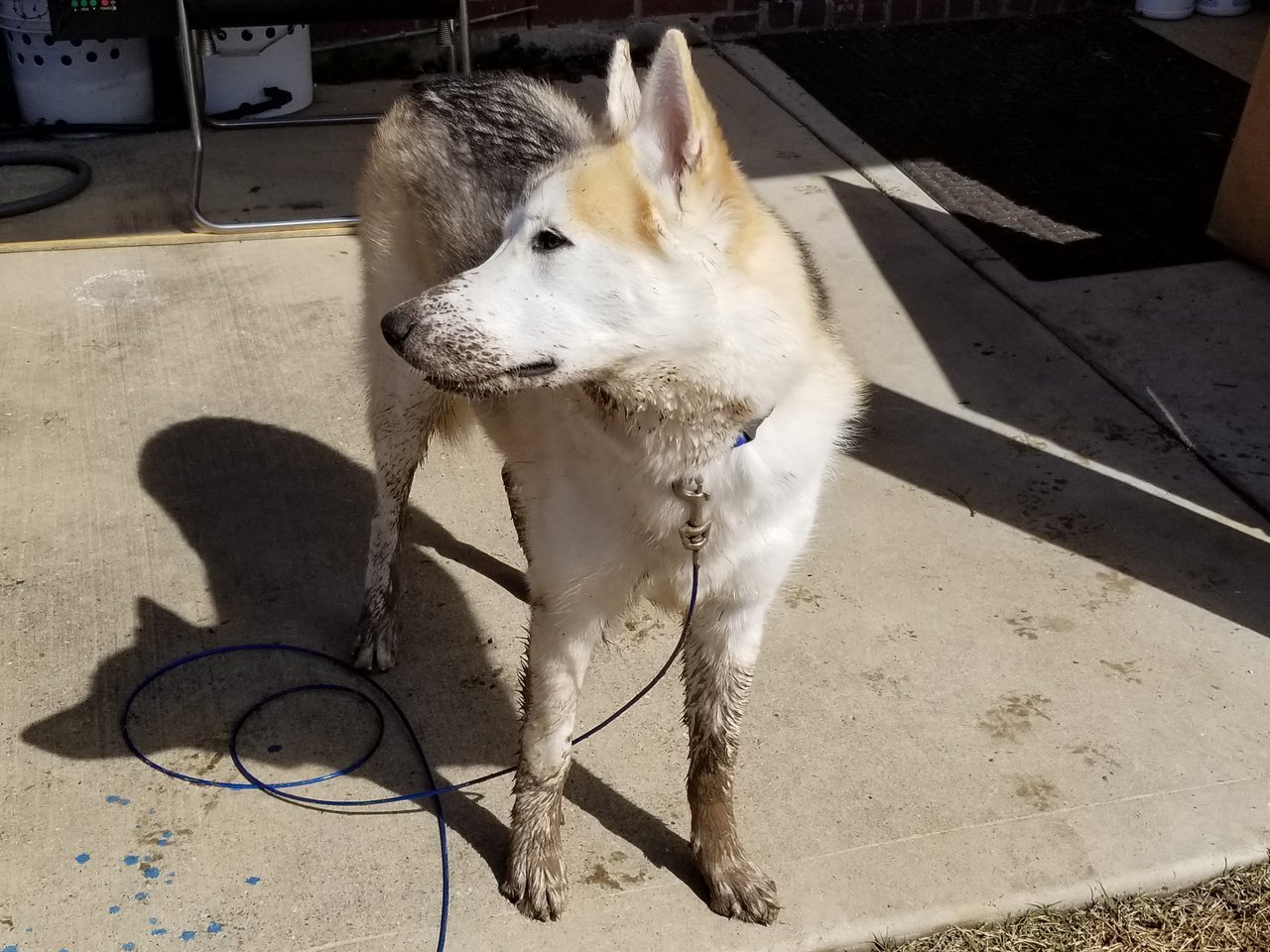 20180225_111943[1].jpg