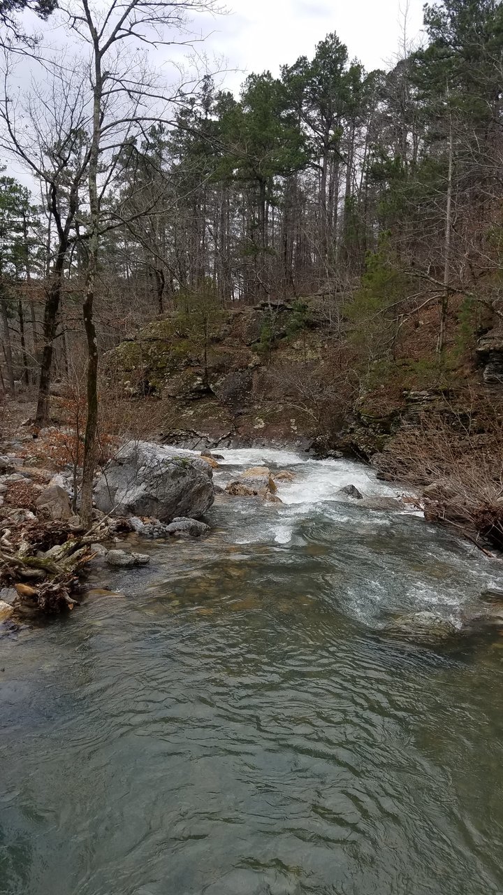 20180225_121336.jpg