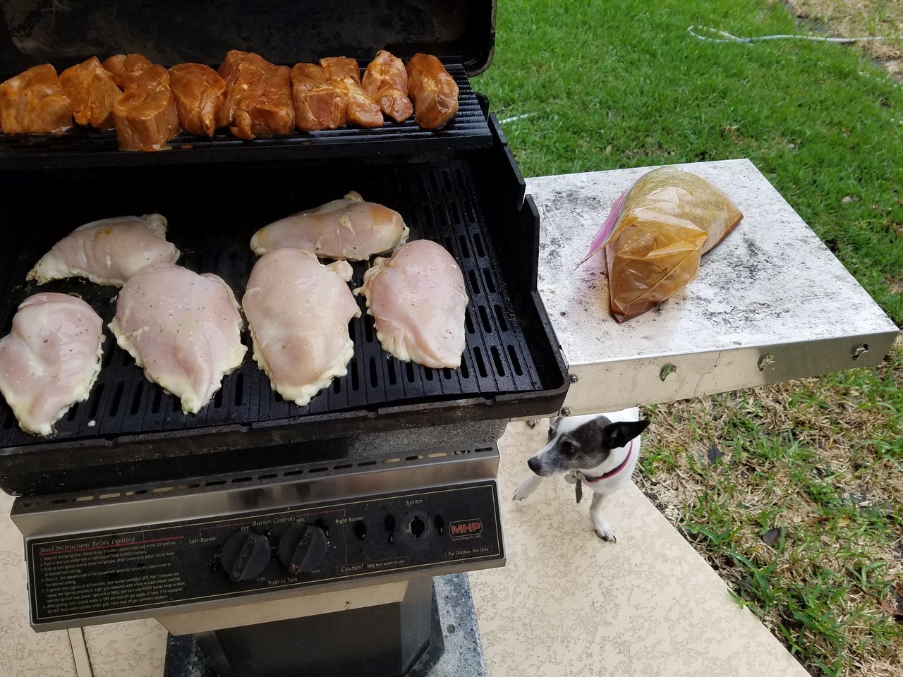 20180225_121553.jpg