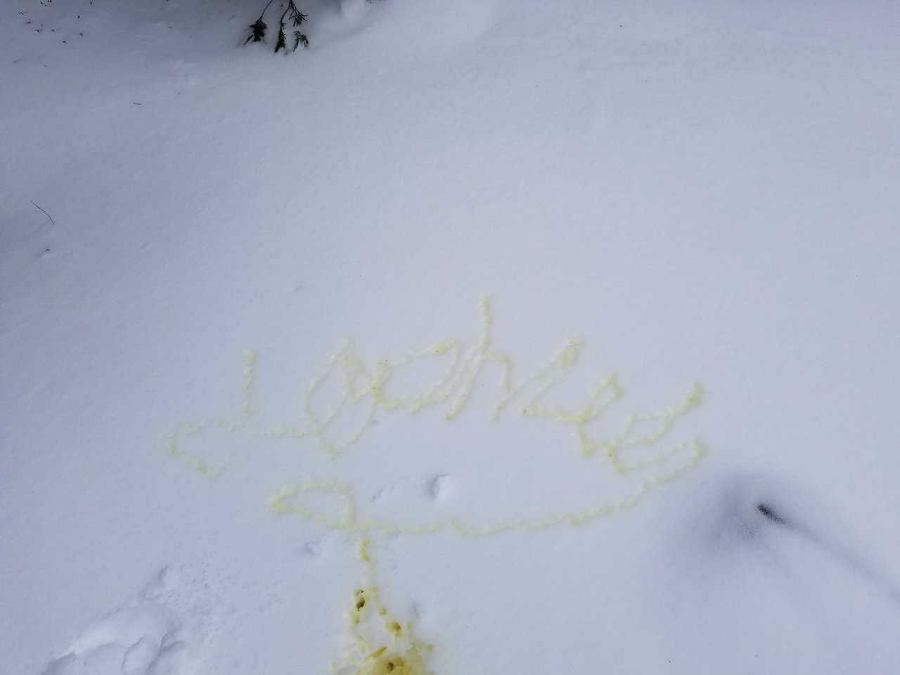 20180225_145228.jpg