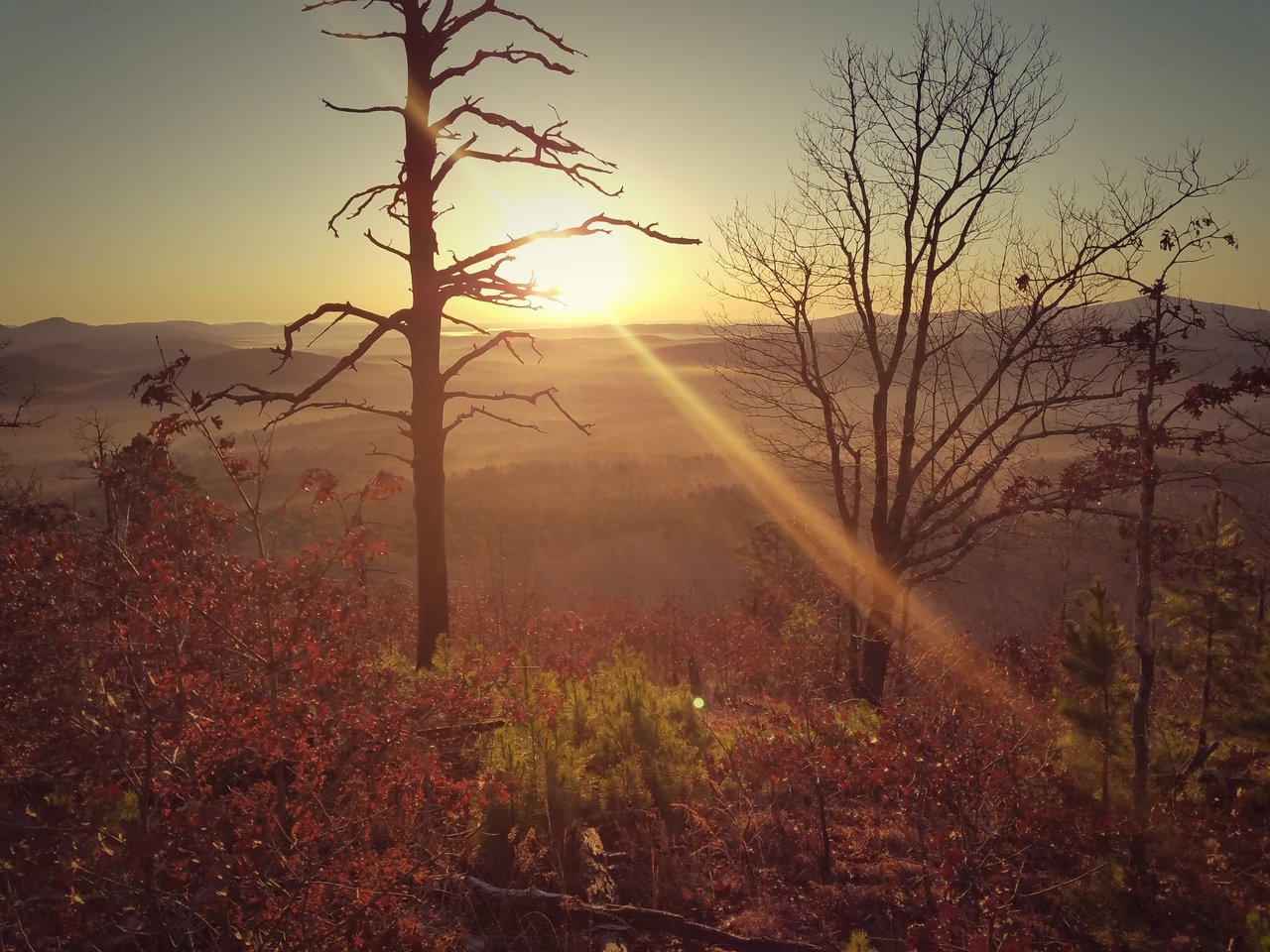 20180226_070123.jpg