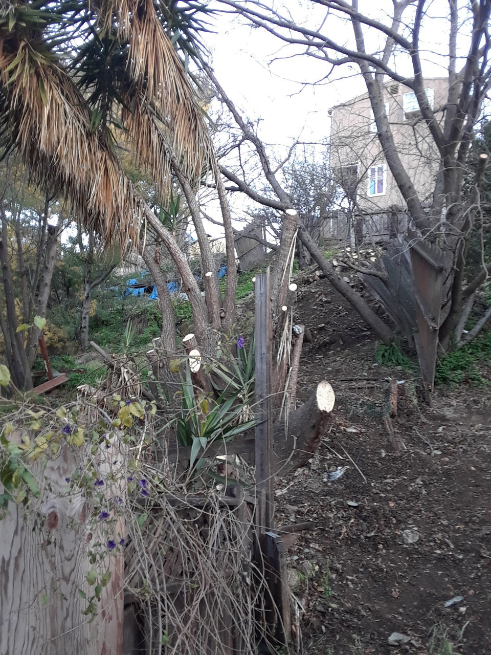 20180227_065921.jpg