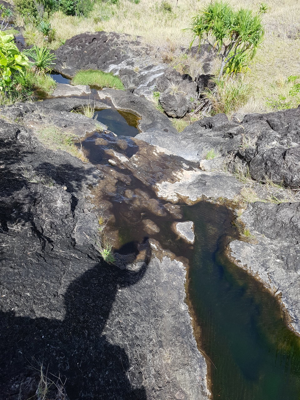 20180228_103217.jpg